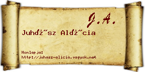 Juhász Alícia névjegykártya